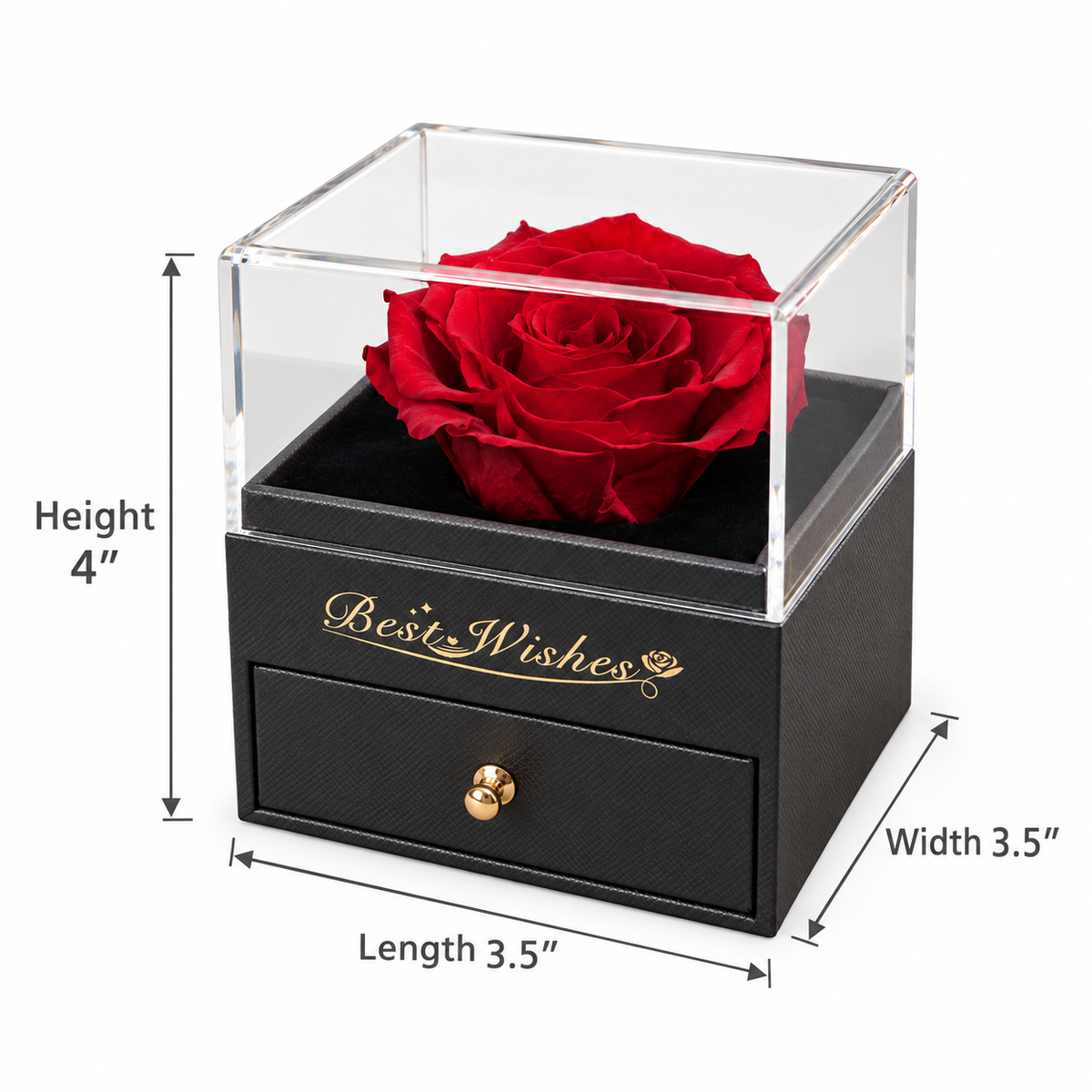 Forever Treasured — Preserved Rose Jewelry Box
